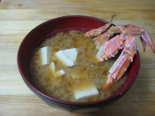 渡り蟹と豆腐の味噌汁 いっぷく ただいま休憩中